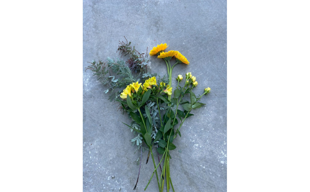 素材を楽しむ季節のお花＊ハーフ＊(全12回)