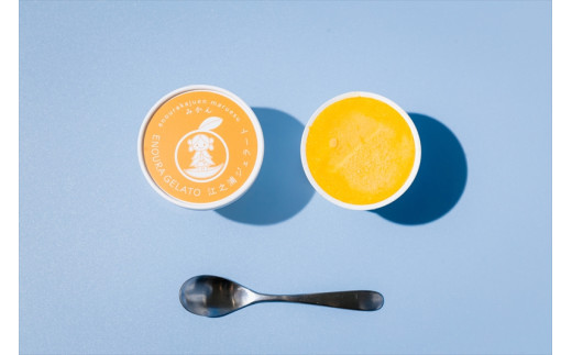 【定期便（2カ月ごと全3回）】小田原産江之浦ジェラート６種（みかん、湘南ゴールド、ブルーベリーミルク、いちごミルク、キウイヨーグルト、甘夏ヨーグルト）120mlカップ各２個合計１２個