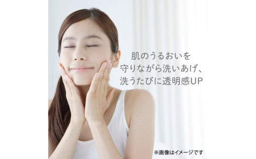 スイサイ ビューティクリアパウダー　ウオッシュN　6個セット【洗顔 美容・化粧品 毛穴ケア 黒ずみ トラベルコスメ 透明感 ニキビケア 角質ケア コスメ 酵素洗顔パウダー 酵素洗顔 人気 角栓 黒 毛穴引き締め ザラつき 神奈川県 小田原市 】