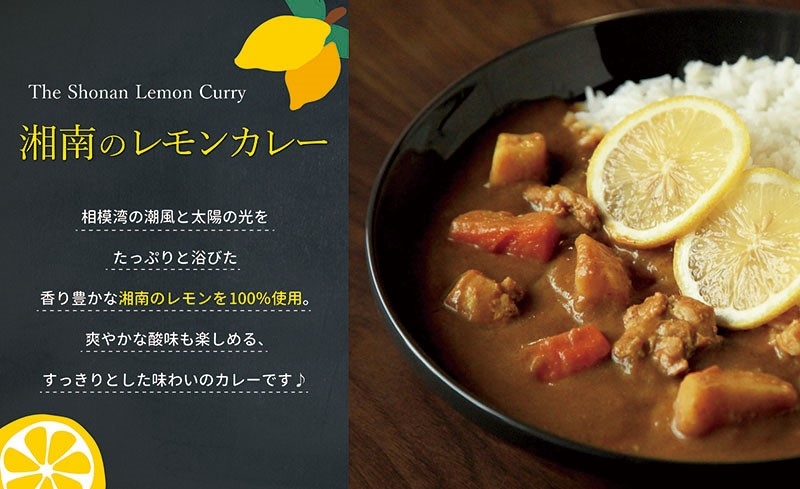 【100％湘南のレモン果汁を使ったカレー10食セット】相模湾の太陽と潮風が育んだ爽やかな味わいを、お手軽に楽しめます！！【 カレー 神奈川県 小田原市 】