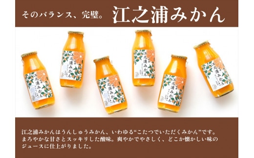 ギフトセット１８０ｍｌ１０本入り 小田原産江之浦みかん１００％ストレートジュース１８０ml１０本