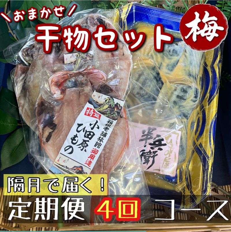 【隔月定期便4回】厳選！小田原の旬の干物セット 梅【 まぐろや 神奈川県小田原市 】