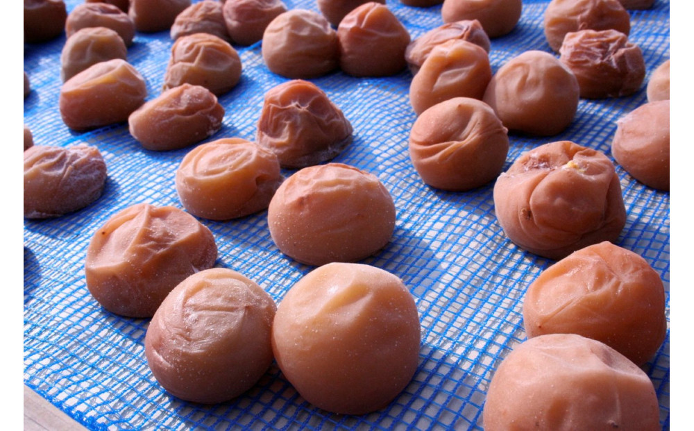 æãªããã®å¡©ã ãã§æŒ¬èŸŒãã ç¡æ·»å ã»ç¡çè²ã®æ¢
å¹²1.6kgãæ¢
å¹² æ¢
å¹²ã ãŠã¡ãã· ãããŒã æ¢
å¹² æ¢
ãŠã¡ ãå®¶çš å®¶åºçš åœç£ ç¡æ·»å ç¡çè² ç¥å¥å·ç å°ç°ååž ã