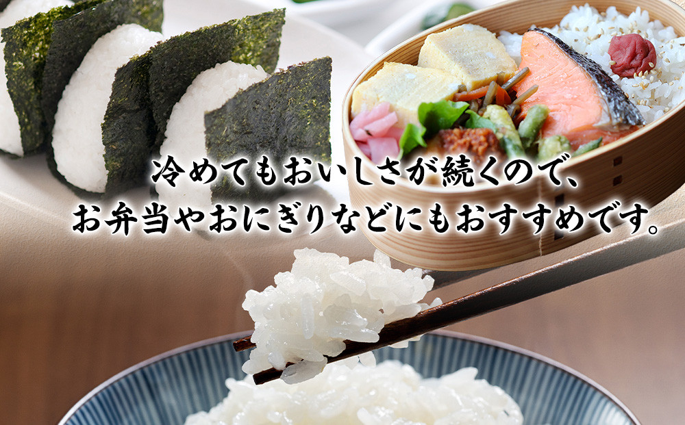 【期間限定・数量限定！】令和7年産　毎月お届け　定期便　富水米　精米　15kg×10か月　にこまる