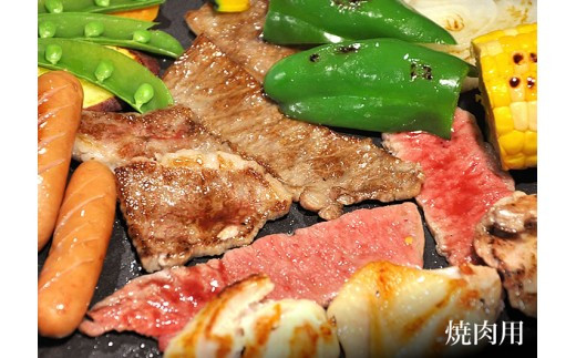 【牛肉 定期便 6回】 幻の相州黒毛和牛肩肉 800g×6回 計4.8kg【相州黒毛和牛 相州牛 幻の牛肉 極上の旨味と風味 キメ細かな上質の脂 様々な料理に ブランド牛 ブランド牛肉 神奈川特産品 神奈川県 小田原市 】
