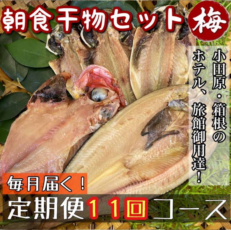 【毎月定期便11回】小田原、箱根の旅館、ホテル御用達！朝食干物セット 梅【 まぐろや 神奈川県小田原市 】