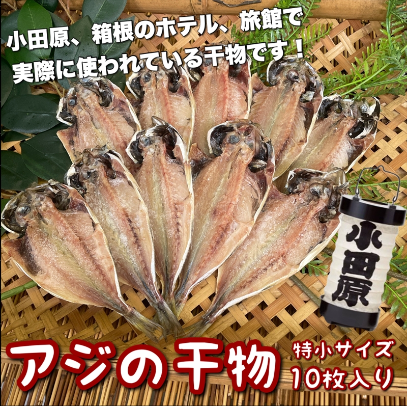 鯵の干物 特小サイズ 10枚セット 【 まぐろや 神奈川県 小田原市 】