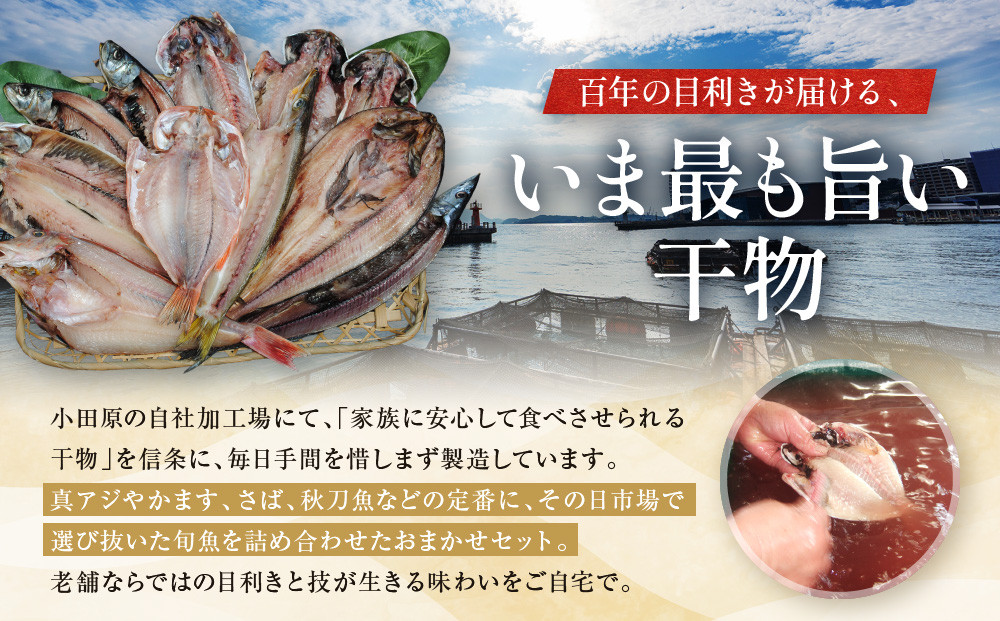 【国産】おまかせ干物セット 梅コース【お取り寄せ 海鮮 グルメ ギフト プレゼント 産地直送 産直 魚 手作り ひもの 詰め合わせ お中元 お歳暮 父の日 母の日 誕生日 自宅用 贈答品 贈答用 朝食 バーベキュー 神奈川県 小田原市 】