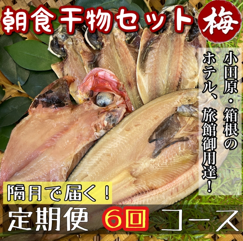 【隔月定期便6回】小田原、箱根の旅館、ホテル御用達！朝食干物セット 梅【 まぐろや 神奈川県小田原市 】