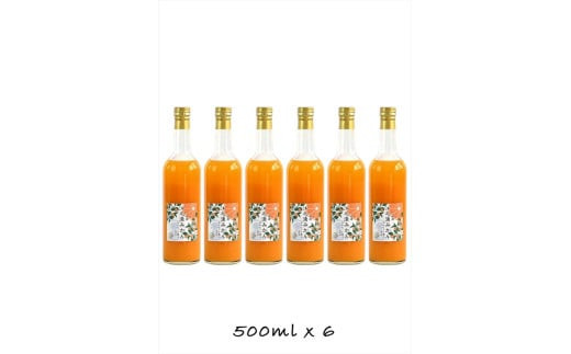 【定期便 （2カ月ごと全4回）】小田原産江之浦みかん１００％ストレートジュース５００ml６本