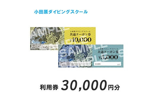 小田原ダイビングスクール 共通クーポン券 30,000円分