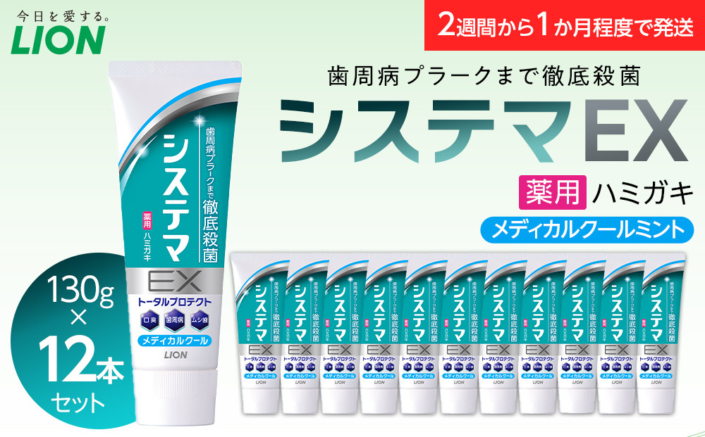 ＬＩＯＮ システマＥＸ（メディカルクール）１２本セット