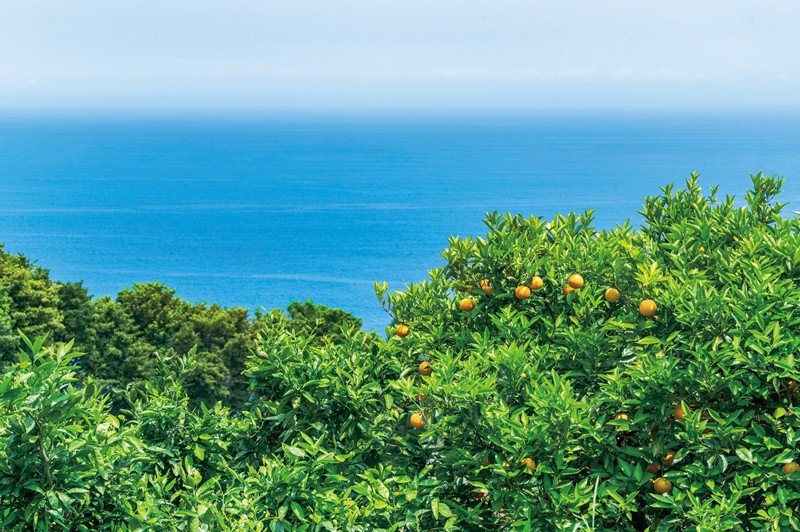 江之浦リトリート凛門　商品券（１万円分）【江之浦 お食事 ご宿泊 1万円分商品券 プレゼント 旅行 お祝い 凛門 絵のように美しい海岸 複数枚同時利用可 ルフロ湯治 美しい江之浦 リトリートホテル 神奈川県 小田原市 】