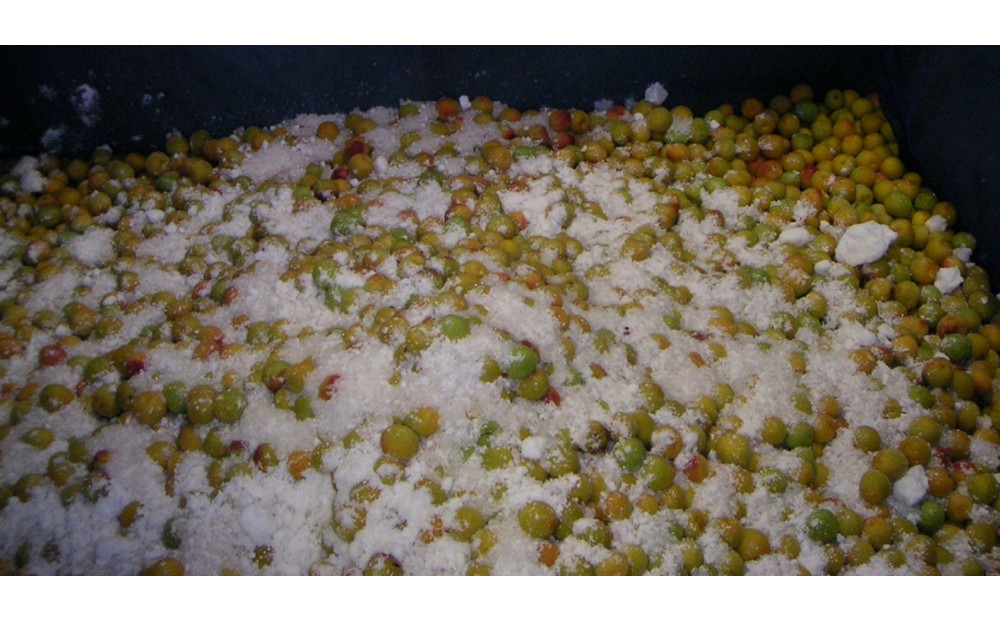 æãªããã®å¡©ã ãã§æŒ¬èŸŒãã ç¡æ·»å ã»ç¡çè²ã®æ¢
å¹²1.2kgãæ¢
å¹² æ¢
å¹²ã ãŠã¡ãã· ãããŒã æ¢
å¹² æ¢
ãŠã¡ ãå®¶çš å®¶åºçš åœç£ ç¡æ·»å ç¡çè² ç¥å¥å·ç å°ç°ååž ã