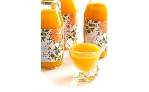 【定期便 6回】 小田原産江之浦みかん１００％ストレートジュース１８０ml３０本