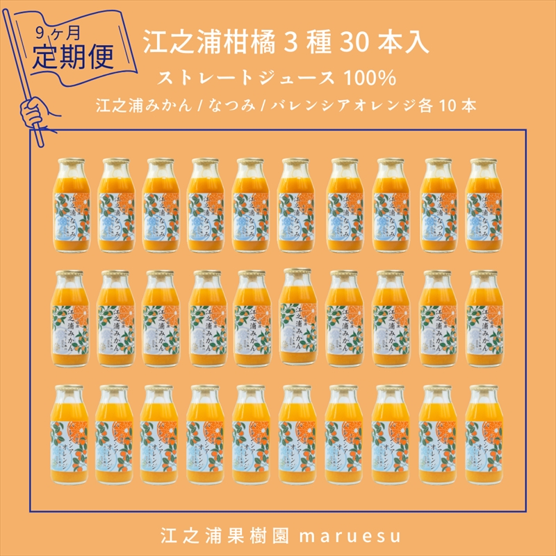 定期便９回 小田原産江之浦みかんジュース３種のみくらべ３０本セット うんしゅう・なつみ・バレンシアオレンジ１００％ストレートジュース１８０ml各１０本合計３０本【 神奈川県 小田原市 】