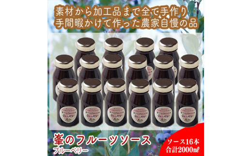 スイスで加工品を学んだ農家が手間暇かけた『手づくりジャムソース【ブルーベリー】』16本セット【 家庭用 自宅用 贈答品 贈答用 ギフト お取り寄せ お中元 お歳暮 贈り物 お祝い 神奈川県 小田原市 】