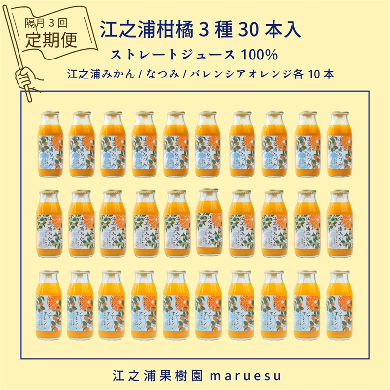 定期便（2カ月ごと全３回） 小田原産江之浦みかんジュース３種のみくらべ３０本セット うんしゅう・なつみ・バレンシアオレンジ１００％ストレートジュース１８０ml各１０本合計３０本【 神奈川県 小田原市 】