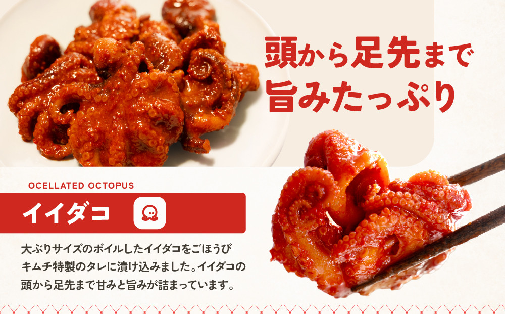 【ごほうびキムチ】イイダコキムチ（5個入り×3袋）【 キムチ 神奈川県 小田原市 】