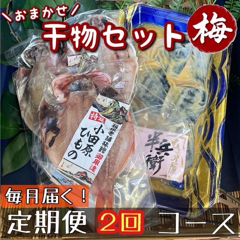 【毎月定期便2回】厳選！小田原の旬の干物セット 梅【 まぐろや 神奈川県小田原市 】