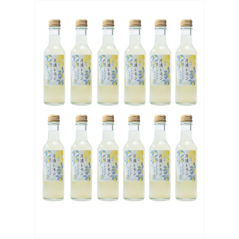 小田原産片浦レモンスパークリング果汁入り飲料果汁１０％２００ml１２本【 神奈川県 小田原市 】