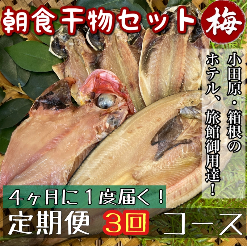 【4ヶ月に1回配送 定期便3回】小田原、箱根の旅館、ホテル御用達！朝食干物セット 梅【 まぐろや 神奈川県小田原市 】