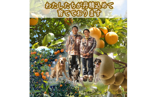 ã¹ã€ã¹ã§å å·¥åãåŠãã 蟲家ãäœã£ããæã¥ãããã£ãããŒãªãŒã ããŸãã10æ¬ã»ãã 130ml ã¿ãã çå€ ããŠã€ã å®¶åºçš èªå®
çš èŽçå èŽççš ã®ãã ãåãå¯ã ãäžå
ãæ³æ® èŽãç© ãç¥ã ç¥å¥å·ç å°ç°ååž ã