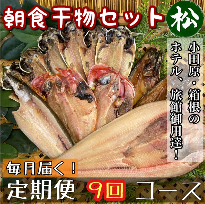 【毎月定期便9回】小田原、箱根の旅館、ホテル御用達！朝食干物セット 松【 まぐろや 神奈川県小田原市 】