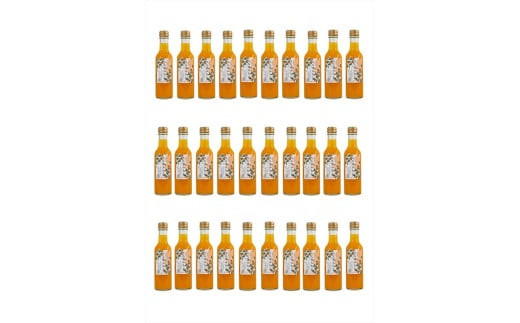 【定期便 6回】 小田原産江之浦みかんスパークリング果汁入り飲料果汁５０％２００ml３０本