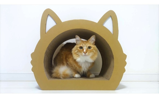 縺ュ縺薙ョ辷ェ縺ィ縺弱縺ソ縺ソCTシ九°縺海T 繧サ繝繝医繧ォ繝ゥ繝シシ帙帙Ρ繧、繝医 繝壹ャ繝育畑蜩 辷ェ縺ィ縺 逾槫・亥キ晉恁 蟆冗伐蜴溷ク 縲