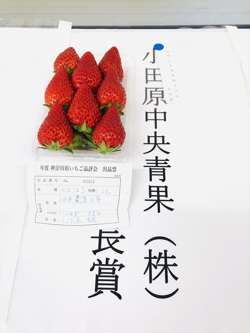 「先行予約」神奈川県新品種「かなこまち＆さちのか」食べ比べセット　完熟イチゴ　苺　4パック入り　　〈出荷時期：2025年1月7日出荷開始～2025年3月14日出荷終了〉【いちご イチゴ 完熟 贈答用 贈答品 家庭用 自宅用 おすそ分け 神奈川県 小田原市 】