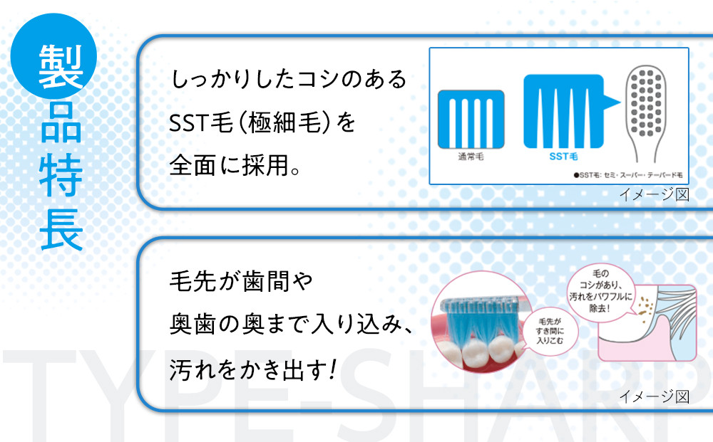 【定期便 毎月 12か月】LION ハミガキセット
