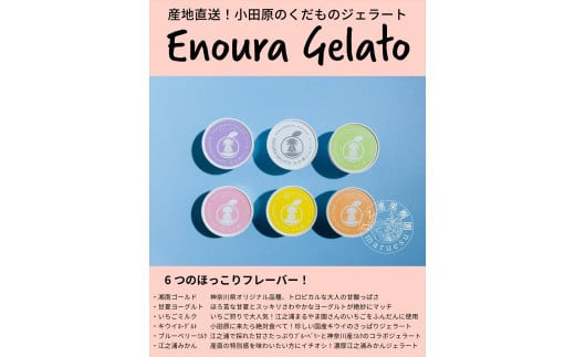 小田原産江之浦ジェラート６種（みかん、湘南ゴールド、ブルーベリーミルク、いちごミルク、キウイヨーグルト、甘夏ヨーグルト）120mlカップ各２個合計１２個
