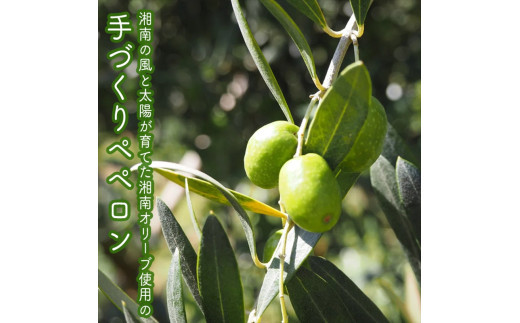 ãããããããã³ã6åã»ããã å®¶åºçš èªå®
çš èŽçå èŽççš ã®ãã ãåãå¯ã ãäžå
ãæ³æ® èŽãç© ãç¥ã ç¥å¥å·ç å°ç°ååž ã