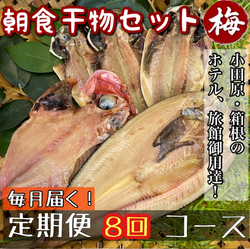 【毎月定期便8回】小田原、箱根の旅館、ホテル御用達！朝食干物セット 梅【 まぐろや 神奈川県小田原市 】