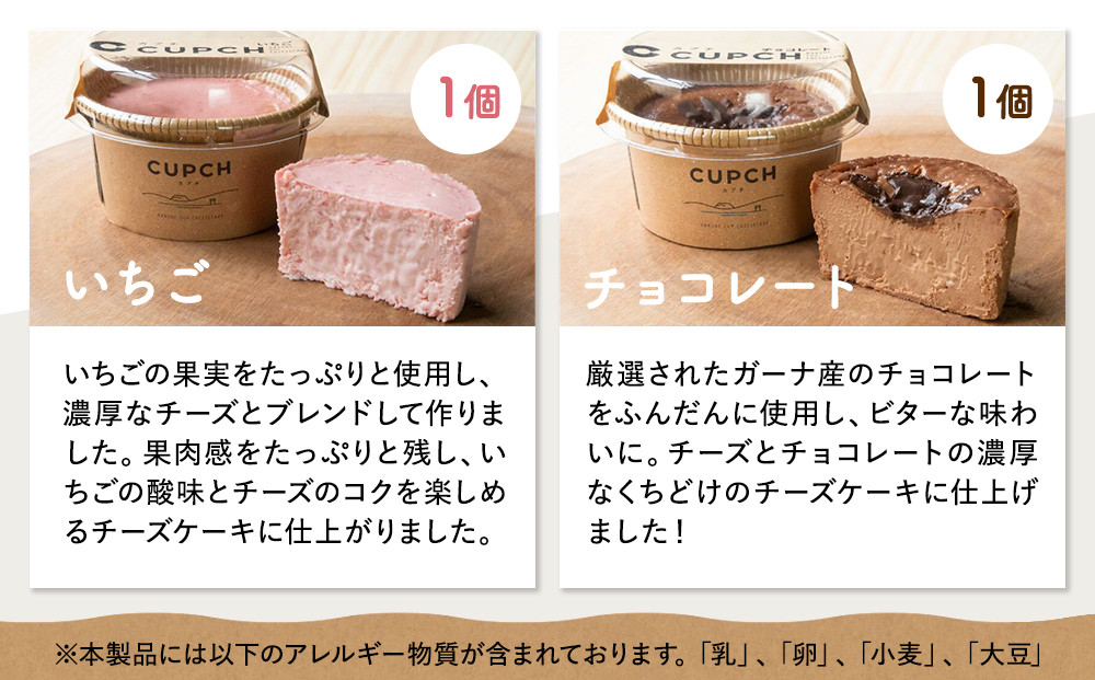 箱根発！なめらか濃厚バスクチーズケーキ 箱根チーズテラス・カプチ 【定番6個セット】