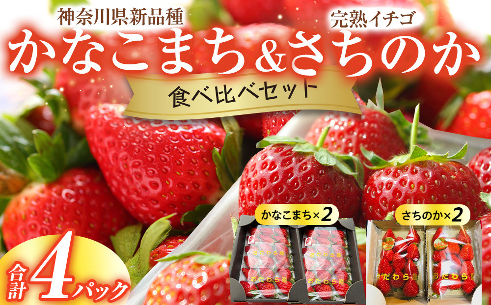 神奈川県新品種「かなこまち＆さちのか」食べ比べセット　完熟イチゴ　苺　4パック入り