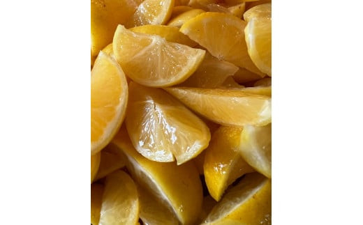 【手づくりあんこ】湘南ゴールドあん500g×1、黒ごまあん500g×1、栗あん500g×1、紫いもあん500g×1【 神奈川県 小田原市 】