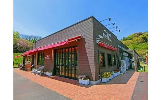 小田原城御城印・御城印帳・石垣山城御城印・北条五代武将印セット【小田原城 石垣山城 北条五代武将 武将 小田原御城印 武将印 5枚組 花押 朱印 古文書 小田原城天守閣ミュージアムショップ 神奈川県 小田原市 】