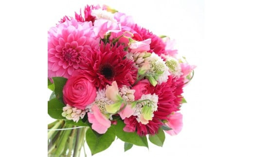 å£ç¯ã®è±æãšè±ç¶ã®ã»ãããMãµã€ãºãå£ç¯ã®è±æãšè±ç¶ Mãµã€ãº äžçããå± ãã©ã¯ãŒããªãŒã ãžã£ãã³ã«ãã åœå
äž»èŠã³ã³ãã¹ãåè³ èŽãç© ãã©ã¯ãŒã©ã€ã çæŽ»ã®åœ© ãéšå±ã®åœ© ç¥å¥å·ç å°ç°ååž ã