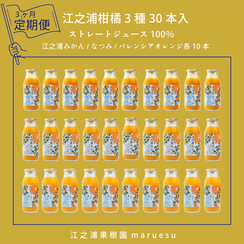 定期便３回 小田原産江之浦みかんジュース３種のみくらべ３０本セット うんしゅう・なつみ・バレンシアオレンジ１００％ストレートジュース１８０ml各１０本合計３０本【 神奈川県 小田原市 】