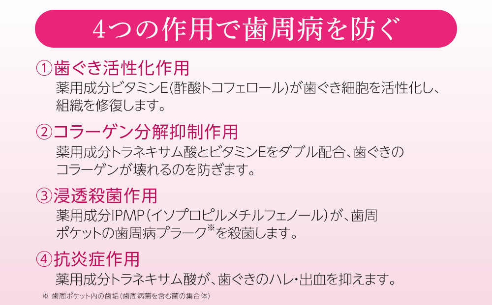【寄附額見直しました！】LION ハグキプラスリンスセット 日用品 ふるさと納税