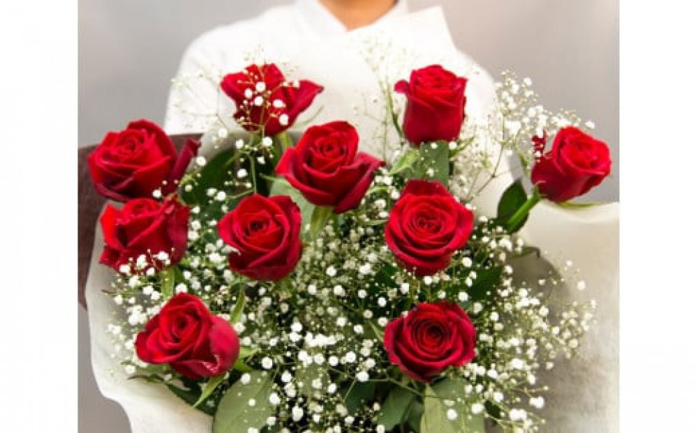 èµ€ãã©ã®è±æ 10æ¬ãããªãã¯å
šãŠãå®ç§ã