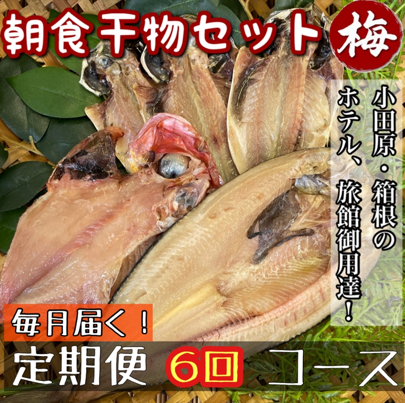 【毎月定期便6回】小田原、箱根の旅館、ホテル御用達！朝食干物セット 梅【 まぐろや 神奈川県小田原市 】