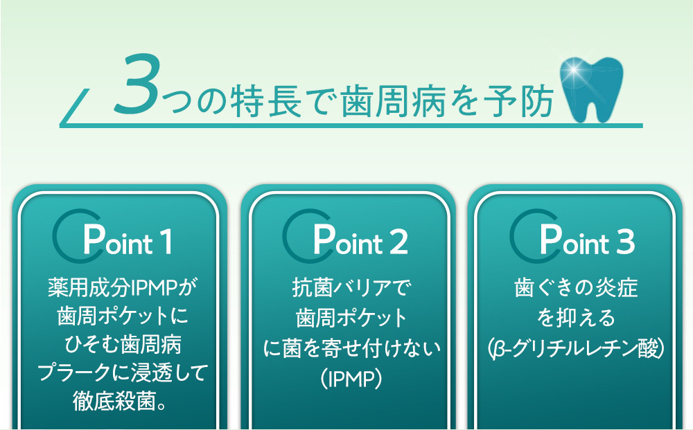 【寄附額見直しました！】LION ハミガキ NONIO×システマ使い比べセット 日用品 ふるさと納税
