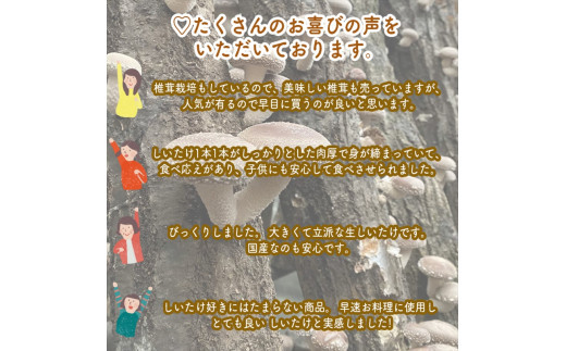 スイスで加工品を学んだ農家が手間暇かけて手づくりした『しいたけとたまねぎのなんでもソース』≪レギュラーサイズ≫18本セット【 家庭用 自宅用 贈答品 贈答用 ギフト お取り寄せ お中元 お歳暮 贈り物 お祝い 神奈川県 小田原市 】