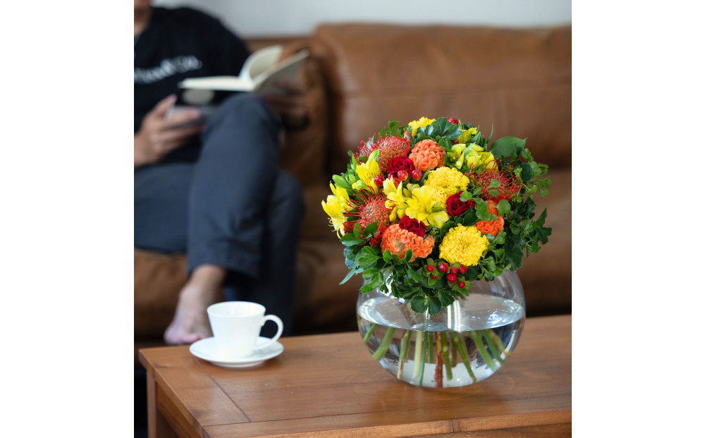 HANAMASAãã©ã¯ãŒã»ã¬ã¯ããã±ãã(5æ)