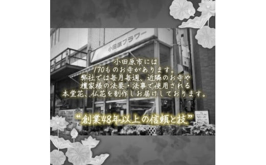 ãâ48幎以äžã®ä¿¡é Œãšæâ詳ããã¯ç»åããèªã¿ãã ãããéžã¹ããäŸãã»ãæãã¿ã»æ³èŠã è± ãè± ç¥å¥å·ç å°ç°ååž ã