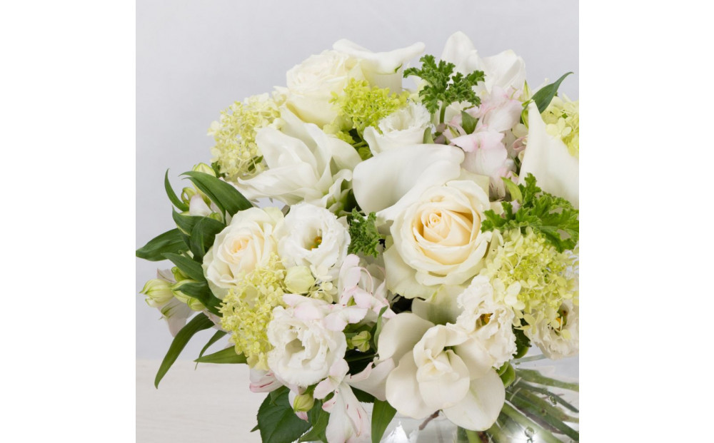 HANAMASAãã©ã¯ãŒã»ã¬ã¯ããã±ãã(5æ)