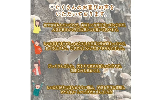 スイスで加工品を学んだ農家が手間暇かけて手づくりした『しいたけ味噌』≪お得サイズ≫9本セット【 家庭用 自宅用 贈答品 贈答用 ギフト お取り寄せ お中元 お歳暮 贈り物 お祝い 神奈川県 小田原市 】